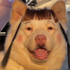 イッヌ 既読スルー🆖さんのプロフィール画像