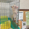 Keiさんのプロフィール画像