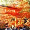 urkiyzさんのプロフィール画像