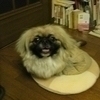 yuu太郎さんのプロフィール画像
