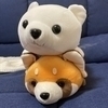 ともみさんのプロフィール画像