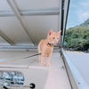 yurureriさんのプロフィール画像