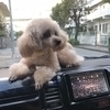 くらりんさんのプロフィール画像