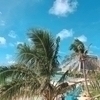 ena🌴さんのプロフィール画像