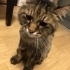 ウッチー