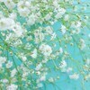 whiteさんのプロフィール画像