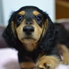 dainaさんのプロフィール画像