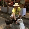 ぴとちさんのプロフィール画像