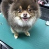 ｓｏｕｋｉさんのプロフィール画像