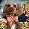  Meegieさんのプロフィール画像