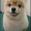 yossyさんのプロフィール画像