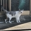 なしおさんのプロフィール画像