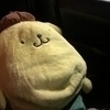わらひとさんのプロフィール画像