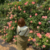 チッチさんのプロフィール画像