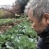ジュンさんのプロフィール画像