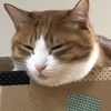 ゆうじさんのプロフィール画像