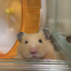 まゆさんのプロフィール画像