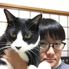 ネコヤンさんのプロフィール画像