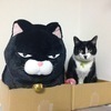 れんれんさんのプロフィール画像