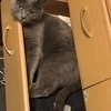 りょうたんさんのプロフィール画像