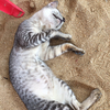黒猫さんのプロフィール画像