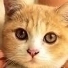  ナカさんのプロフィール画像