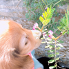 sumiさんのプロフィール画像