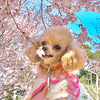 オークリーさんのプロフィール画像