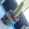 《プロフ必読》みいさんのプロフィール画像