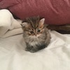 Takumiさんのプロフィール画像