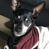 チャさんのプロフィール画像