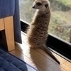 まことさんのプロフィール画像