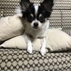 GTRくんさんのプロフィール画像