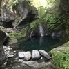  なばなさんのプロフィール画像