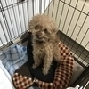 マッキーさんのプロフィール画像