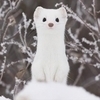みーさんのプロフィール画像