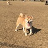 ざきやまさんのプロフィール画像