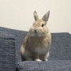 ぽんさんのプロフィール画像