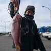 かぼさんのプロフィール画像