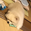 GRACE長野さんのプロフィール画像