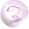 sparkjoyさんのプロフィール画像