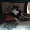 なちこ19さんのプロフィール画像