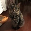 ミンミンさんのプロフィール画像
