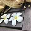 Ｃ さんのプロフィール画像