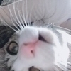 yuaさんのプロフィール画像