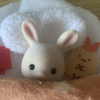 ゆずぽんずさんのプロフィール画像