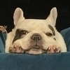 NEさんのプロフィール画像