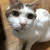 たかさんのプロフィール画像
