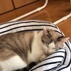 KEIさんのプロフィール画像