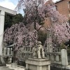 ほじかのさんのプロフィール画像